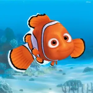 🐠 YOU'VE FOUND NEMO 🐠