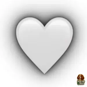 🤍 YOU'VE FOUND A HEART 🤍