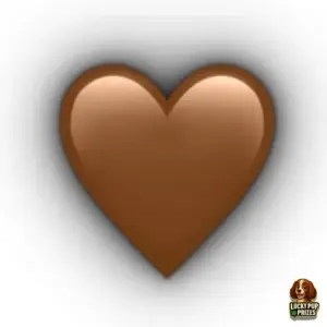 🤎 YOU'VE FOUND A HEART 🤎